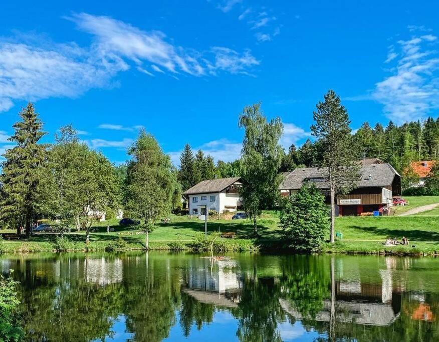 Ferienwohnung "Am Skilift" Herrischried Extérieur photo