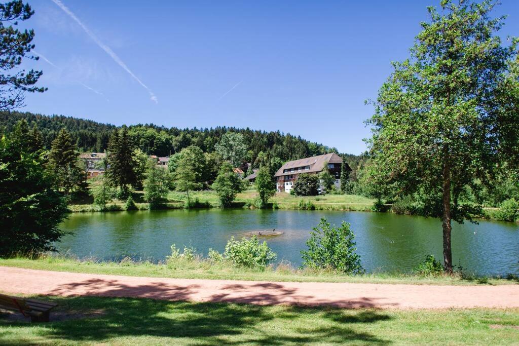 Ferienwohnung "Am Skilift" Herrischried Extérieur photo