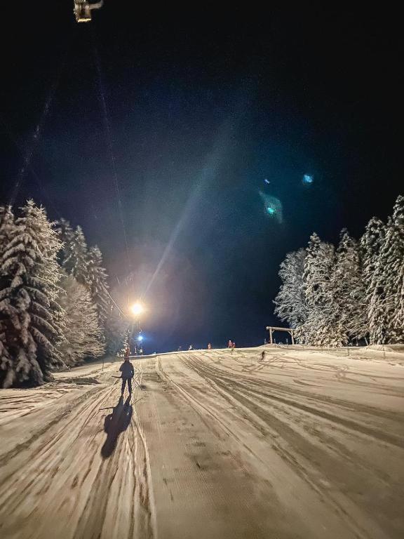 Ferienwohnung "Am Skilift" Herrischried Extérieur photo