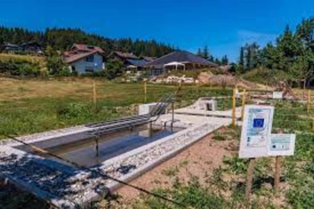 Ferienwohnung "Am Skilift" Herrischried Extérieur photo