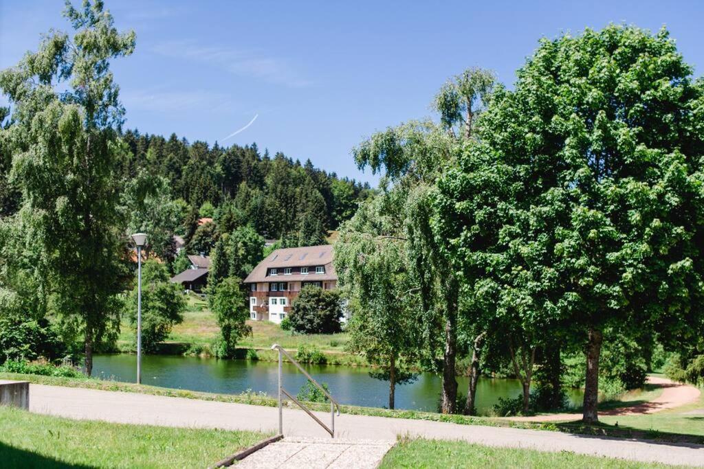 Ferienwohnung "Am Skilift" Herrischried Extérieur photo