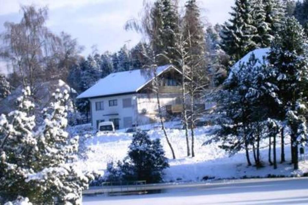 Ferienwohnung "Am Skilift" Herrischried Extérieur photo