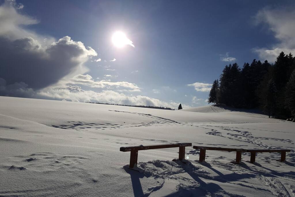 Ferienwohnung "Am Skilift" Herrischried Extérieur photo