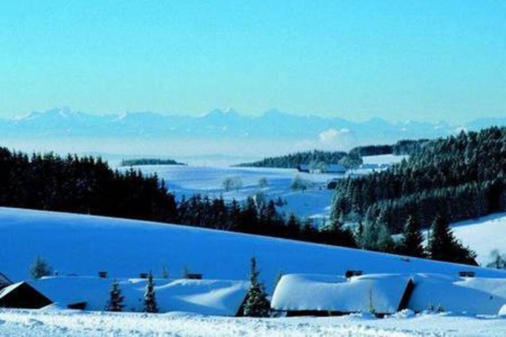 Ferienwohnung "Am Skilift" Herrischried Extérieur photo