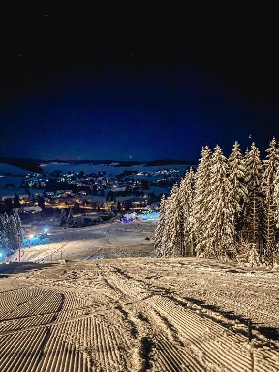 Ferienwohnung "Am Skilift" Herrischried Extérieur photo
